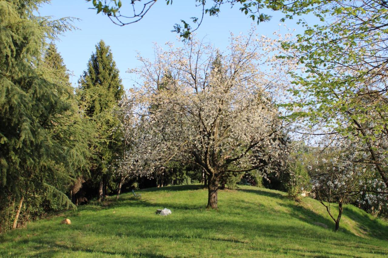 Villa Flangini Asolo Bagian luar foto